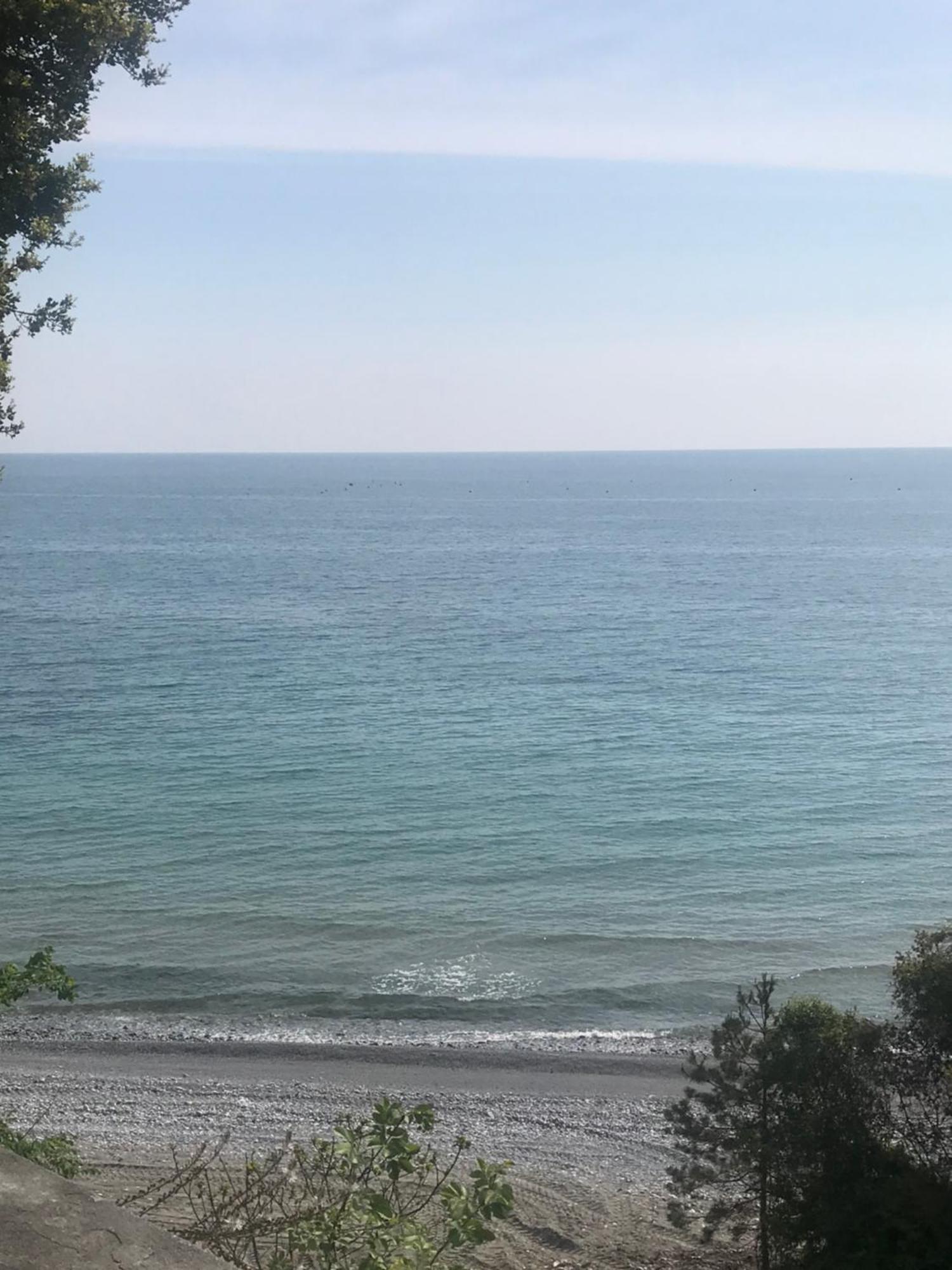 Zeusplace Seaside Home Private Beach And Parking 플라카 리토코로우 외부 사진